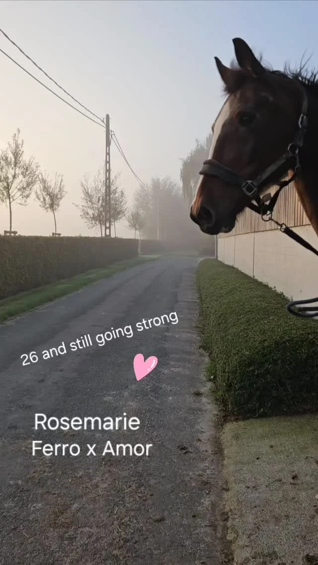 Instagram bericht 17887714479101989